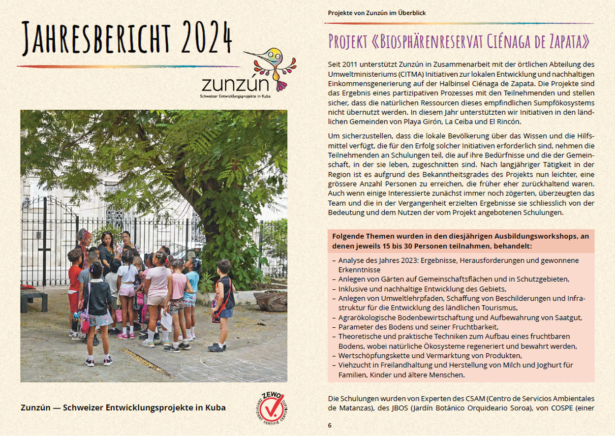 Jahresbericht 2024